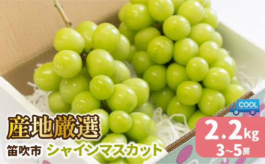 25年発送先行予約＞産地厳選シャインマスカット2.2kg（3房～5房 