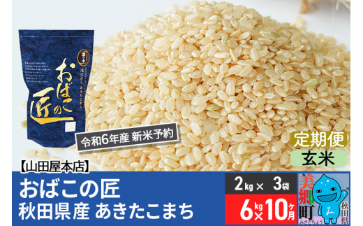 玄米】＜令和6年産 新米予約＞《定期便10ヶ月》おばこの匠 秋田県産あきたこまち 6kg×10回 計60kg 10か月 10ヵ月 10カ月 10ケ月  秋田こまち お米 - 秋田県美郷町｜ふるさとチョイス - ふるさと納税サイト