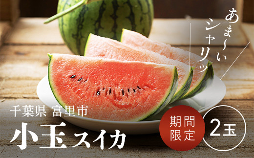 【高額売筋】 2025年5月上旬より順次配送】富里産 小玉スイカ 2玉 【 ふるさと すいか