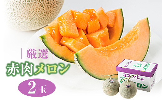 北海道赤肉メロン 秀品大箱2 富良野メロン XL×2玉 (約