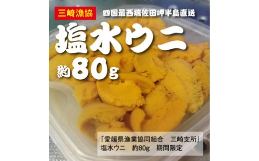 数量限定】【10/15までの期間限定受付】三崎の赤ウニ（塩水パック） 約80g ※北海道・東北地方・沖縄・離島への配送不可  ※2024年8月上旬～10月下旬頃に順次発送予定 - 愛媛県伊方町｜ふるさとチョイス - ふるさと納税サイト