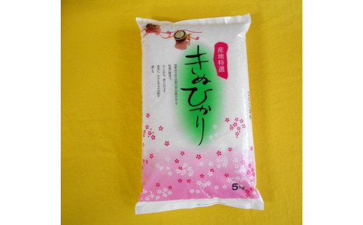 ya̎RߒqYzmstna̎RYLkqJ 5kgi2025NYjmSL27n