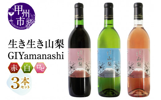 yRbBszR[GIYamanashi]3{ZbgiMGjB17-651