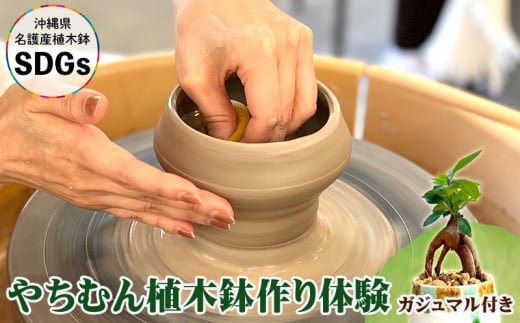 やちむん植木鉢作り体験 ガジュマル付き【SDGｓ】 やちむん 焼き物 陶芸 ガジュマル 植木鉢 体験 伝統 工芸 植物 鑑賞用 観葉植物 インテリア  初心者 ふるさと納税 おきなわ 沖縄 オキナワ 名護 ナゴ 国産 - 沖縄県名護市｜ふるさとチョイス - ふるさと納税サイト