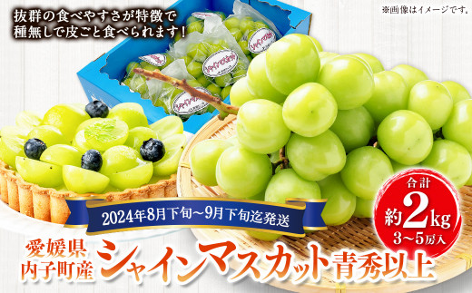 内子町産 シャインマスカット 青秀以上 3～5房入 約2kg【2024年8月下旬～9月下旬迄発送】【えひめの町（超）推し！（内子町）】（445） -  愛媛県｜ふるさとチョイス - ふるさと納税サイト