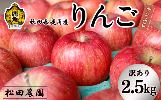 先行予約》【訳あり】りんご「サンふじ」家庭用 小玉 2.5kg【松田農園