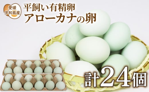 平飼い有精卵 24個 アローカナ の 卵 もりもり農園 タマゴ 玉子 生卵 鶏卵 青い卵 平飼い 有精卵 濃厚 コク 旨味 採れたて 希少 卵かけご飯  産地直送 農家直送 数量限定 国産 愛媛 宇和島 F010-157001 - 愛媛県宇和島市｜ふるさとチョイス - ふるさと納税サイト