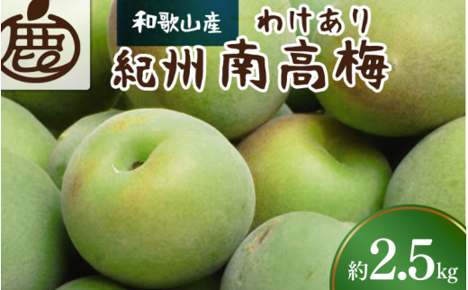 ＜6月発送＞家庭用  紀州南高梅(青梅)2.5kg+75g（傷み補償分）【朝摘み・とれたて直送便】【梅干し・梅酒・梅ジュース】【和歌山産】【わけあり・訳あり】  ※北海道・沖縄・離島への配送不可【ikd169】