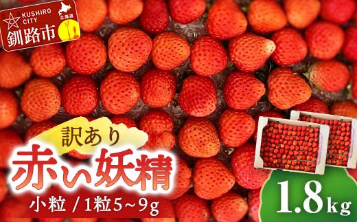 6月から順次発送!【 訳あり 】赤い妖精 1.8kg(小粒 1粒5～9g) 夏いちご 規格外にて訳あり イチゴ 夏イチゴ 果物 苺 いちご 夏  スィーツ ケーキ フルーツ 北海道 規格外 F4F-4624 - 北海道釧路市｜ふるさとチョイス - ふるさと納税サイト