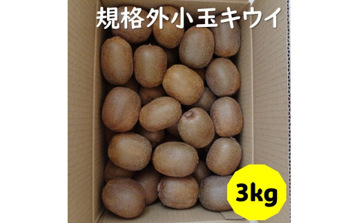 訳あり キウイ 3kg B品 愛媛 国産 キウイフルーツ ヘイワード 数量限定 伊予市 【2024年11月配送】｜B263 -  愛媛県伊予市｜ふるさとチョイス - ふるさと納税サイト