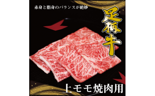 y_ސ쌧䒬zȂuhヂēp500gy1507411z