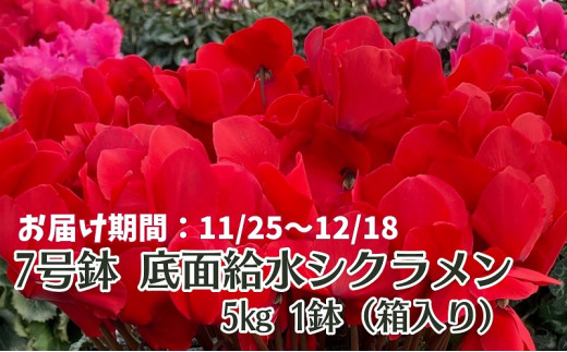 底面給水の人気商品・通販・価格比較