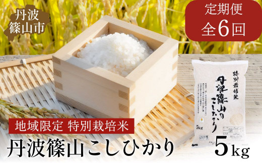 《リピーター様限定》令和６年新米★じっくり精米！ー丹波篠山産コシヒカリ5kg（丹波篠山盆地米） | 丹波篠山 杉尾農園 powered by BASE