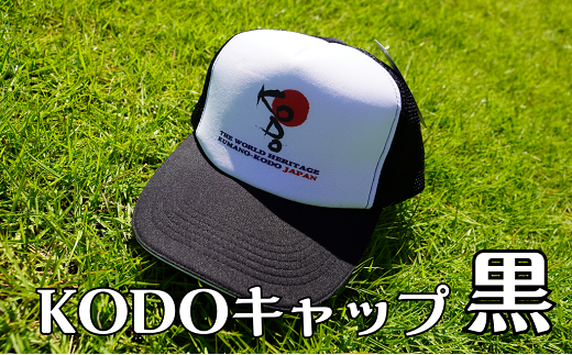 sd1_2461ee722acdefff0a3d0902be