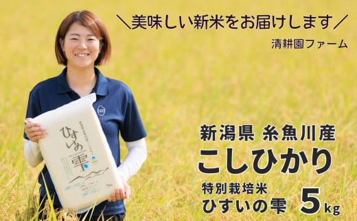 令和6年産新米予約】 新潟県糸魚川産コシヒカリ 5kg『ひすいの雫』専門家お墨付き 特別栽培米 清耕園ファーム 農家直送 令和6年産 真空パック  鮮度長持ち 白米【お米 こめ 精米 ご飯 ライス 5キロ ふるさと納税米 こしひかり 2024 ギフト お弁当 おにぎり にも おすすめ ...