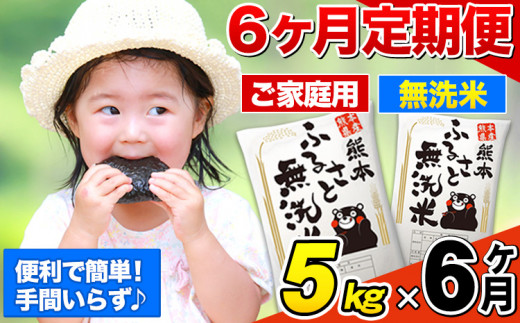 6ヶ月定期便】無洗米 定期便《お申し込みの翌月から出荷》 熊本