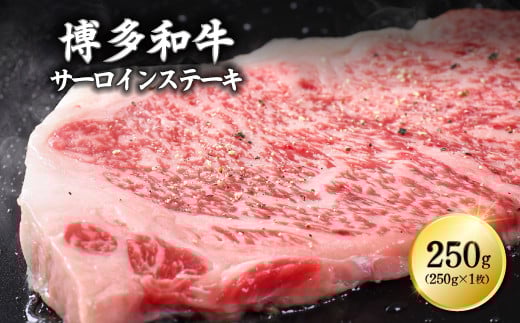yԑzaT[CXe[L@250×1 Y10-S