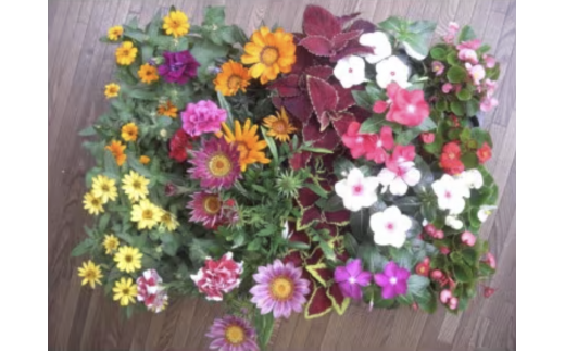 yޗǌRYz4?6\@Yn!ẲԒdc24lߍ킹