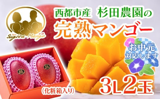 お中元ギフト】今が旬！【杉田農園】西都市産 完熟マンゴー 2玉 900g~1kg 化粧箱入 生産者直送 宮崎マンゴー ＜1.6-3＞ 果物 フルーツ  甘い 残りわずか - 宮崎県西都市｜ふるさとチョイス - ふるさと納税サイト