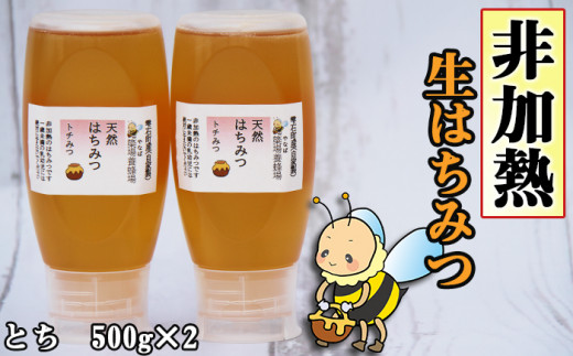 簗場養蜂場 非加熱 生はちみつ とち 500g 2本 ／ はちみつ 蜂蜜 ハチミツ 国産 【あねっこ】 - 岩手県雫石町｜ふるさとチョイス -  ふるさと納税サイト