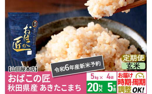 【玄米】《定期便5ヶ月》令和6年産 新米予約 仙北市産 おばこの匠 20kg（5kg×4袋）×5回 計100kg 秋田県産あきたこまち 秋田こまち  お米 5か月 5ヵ月 5カ月 5ケ月