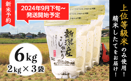 K61新潟県産コシヒカリ6kg（2kg×3袋） - 新潟県胎内市｜ふるさとチョイス - ふるさと納税サイト