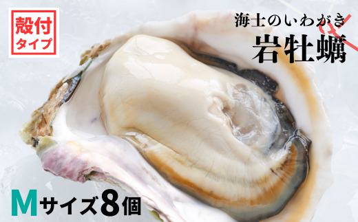 【のし付き いわがき 殻付きMサイズ 8個】岩牡蠣 生食可 冷凍 牡蛎 牡蠣 かき カキ 岩牡蠣 いわがき 冷凍 父の日 母の日 バーベキュー ギフト  島根県海士町｜ふるさとチョイス ふるさと納税サイト