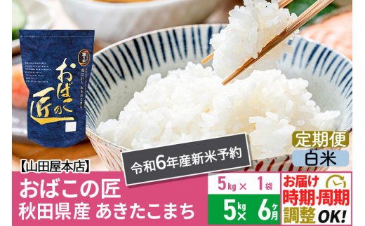 【白米】《定期便6ヶ月》令和6年産 新米予約 仙北市産 おばこの匠 5kg×6回 計30kg 秋田県産あきたこまち 秋田こまち お米 6か月 6ヵ月  6カ月 6ケ月