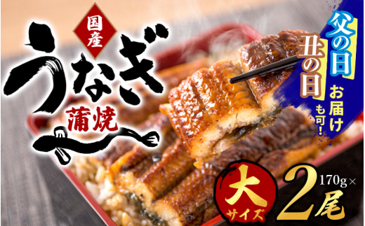 新鮮　天然ウナギ　真空冷凍　4本　ビッグサイズ 新鮮 天然ウナギ 真空冷凍 4本 ビッグサイズ 3セット同時購入で1尾無料