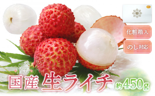 先行予約/数量限定】希少 国産 綾生ライチ（化粧箱入り） 宮崎県 綾町