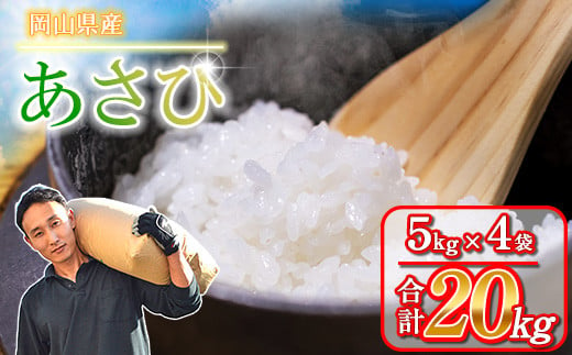 新米先行予約】岡山県産「朝日/アケボノ」20kg / 関連キーワード くらしき米米 高アミロース米 あさひ 10kg 5kg 令和6年産 岡山県産 朝日  白米 分付き米 5分付き 7分付き 美味しいお米 / - 岡山県早島町｜ふるさとチョイス - ふるさと納税サイト