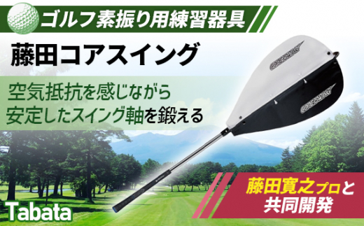 タバタ Tabata 藤田コアスイング GV0233 練習 ゴルフ トレーニング 素振り 安定 茨城県 - 茨城県常陸大宮市｜ふるさとチョイス -  ふるさと納税サイト