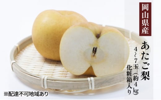 yR˓sz 2025N s\  4`7ʁi4kgj ϔ Ȃ iV RY Y t[c ʕ Mtg [5735-2012]