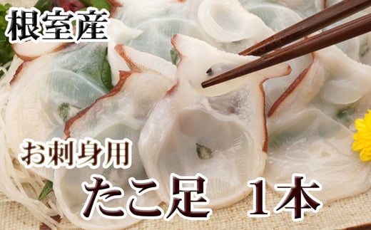 ykCszG-30008y12/21܂ŔNzz ykCYz500gO`800gO×1{