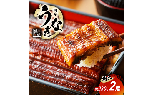 y䌧ዷzYȂ  Ă 230gO 2 Y Ȃ EiM V YV Ȃ̊Ă EiM̊ YȂ YV̊     CN CNZbg y