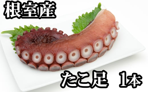 ykCszG-76008y12/21܂ŔNzz ykCYz500gO`800gO×1{