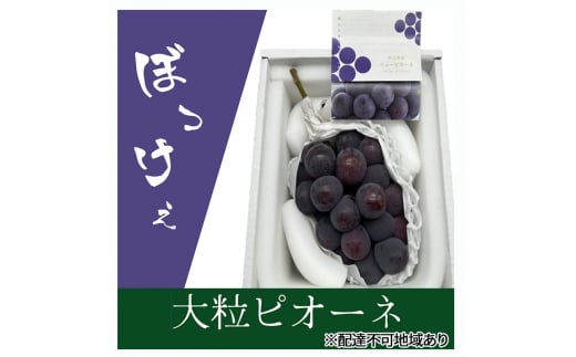 yR˓szԂǂ 2026N s\ ڂ嗱j[sI[l1[(800gȏ) ϔ uhE  RY Y t[c ʕ Mtg [5735-2007]