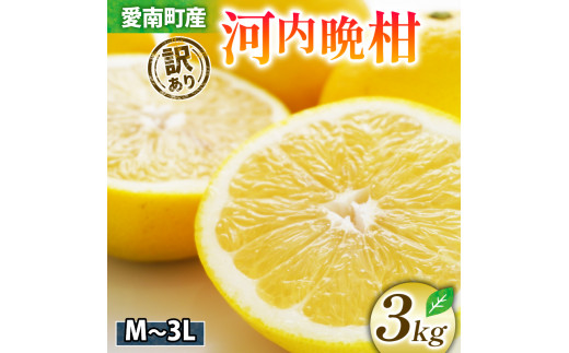 訳あり 清家ばんかんビレッジ の 河内晩柑 3kg お試し (なくなり次第終了) 5000円 愛媛 愛南 愛媛県愛南町｜ふるさとチョイス  ふるさと納税サイト