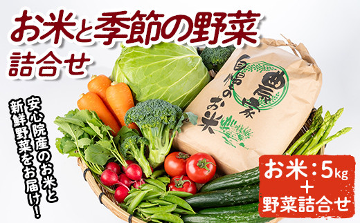 産地直送！安心院のお米と季節の野菜詰合せ(お米5kg＋野菜詰め合わせ)米 お米 野菜 季節の野菜 詰合せ 安心院産  大分県産【103700101】【小の岩の庄】 - 大分県宇佐市｜ふるさとチョイス