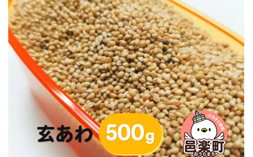 yQnWyz 500g×1 TCgEER[|[V 