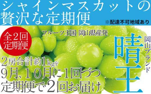 ふるさと納税 浅口市 岡山県産 シャインマスカット『晴王』定期便全2回 ふるさと納税 浅口市 岡山県産 シャインマスカット『晴王』定期便全3回