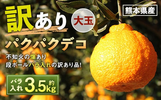 パクパクデコ 約3.5kg 訳あり 大玉 【2024年5月上旬～2024年7月上旬発送】 - 熊本県水俣市｜ふるさとチョイス - ふるさと納税サイト