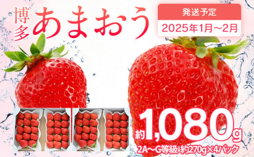 先行予約 あまおう 合計約1,080g 約270g×4パック 福岡県産 九州 イチゴ いちご 苺 果物 くだもの フルーツ 送料無料  【2025年1月～2月順次発送予定】 - 福岡県古賀市｜ふるさとチョイス - ふるさと納税サイト