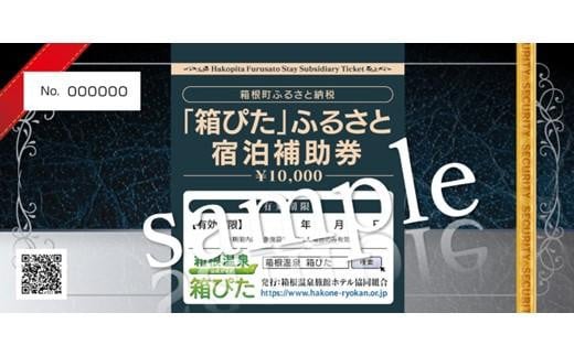 箱根町】箱ぴたふるさと宿泊補助券（30,000円分） - 神奈川県箱根町｜ふるさとチョイス - ふるさと納税サイト