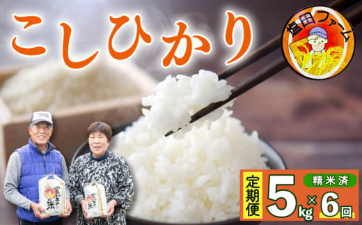 令和6年 楽しま 徳島産 新米 コシヒカリ 阿波美人 30kg ☆送料込み☆