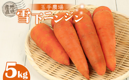  にんじん 数量限定 にんじん 人参 野菜 5kg 46 AH052】【訳あり】堀農園の