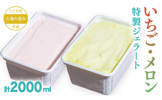y錧㒬zňb݁II  WF[g (  E  e1 ) v 2000ml ACX fU[g XC[c ӂ邳Ɣ[ 10000~ C`S   ʕ { [AU099ya][SZRY]