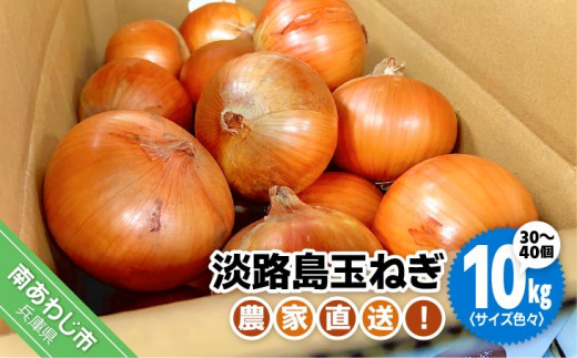 yɌ삠킶sz_ƒIWHʂ˂ 10kgITCYFX