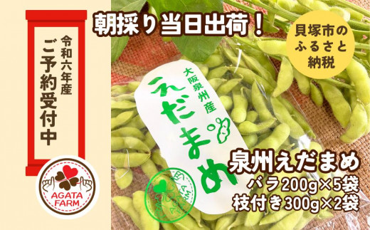 えだまめ 令和6年産 先行予約】泉州えだまめセット 朝採り当日出荷！バラ200g×5