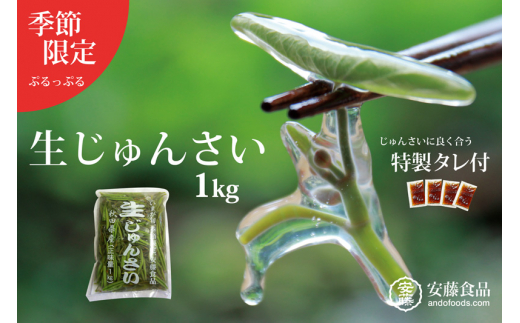 しゅんさん 専用 生じゅんさい1kg ゆずタレ4個 《冷蔵》（2026年5月上旬頃～7月下旬